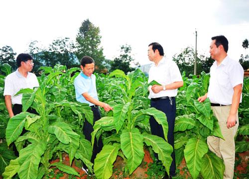 8河南农业大学烟草学院与贵州省烟草公司毕节地区公司签订战略合作